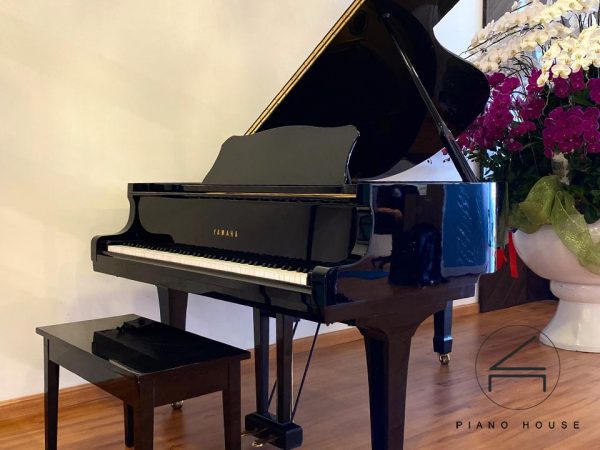 Hướng dẫn chọn piano steinway đã qua sử dụng